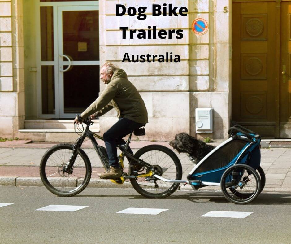man using a dog bike trailer