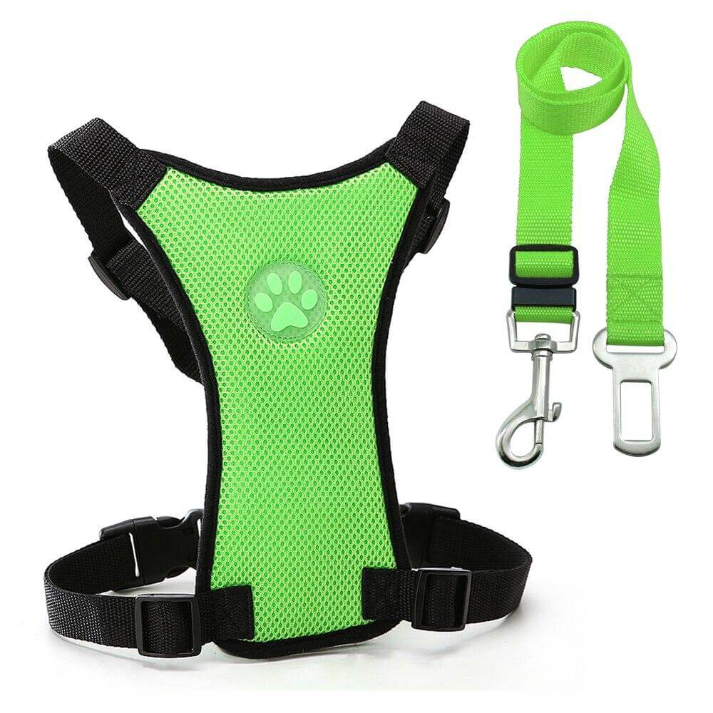 Dog Nation Car Harness Seat Belt Set