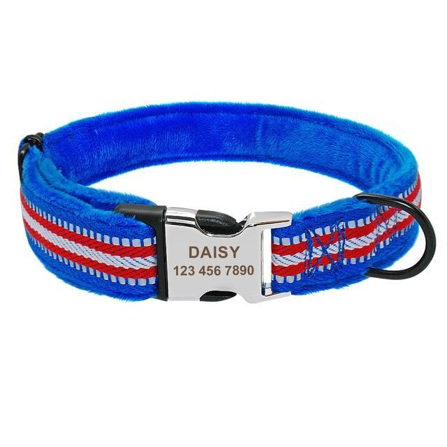 DogNation Soft Padded Nylon Dog Collar