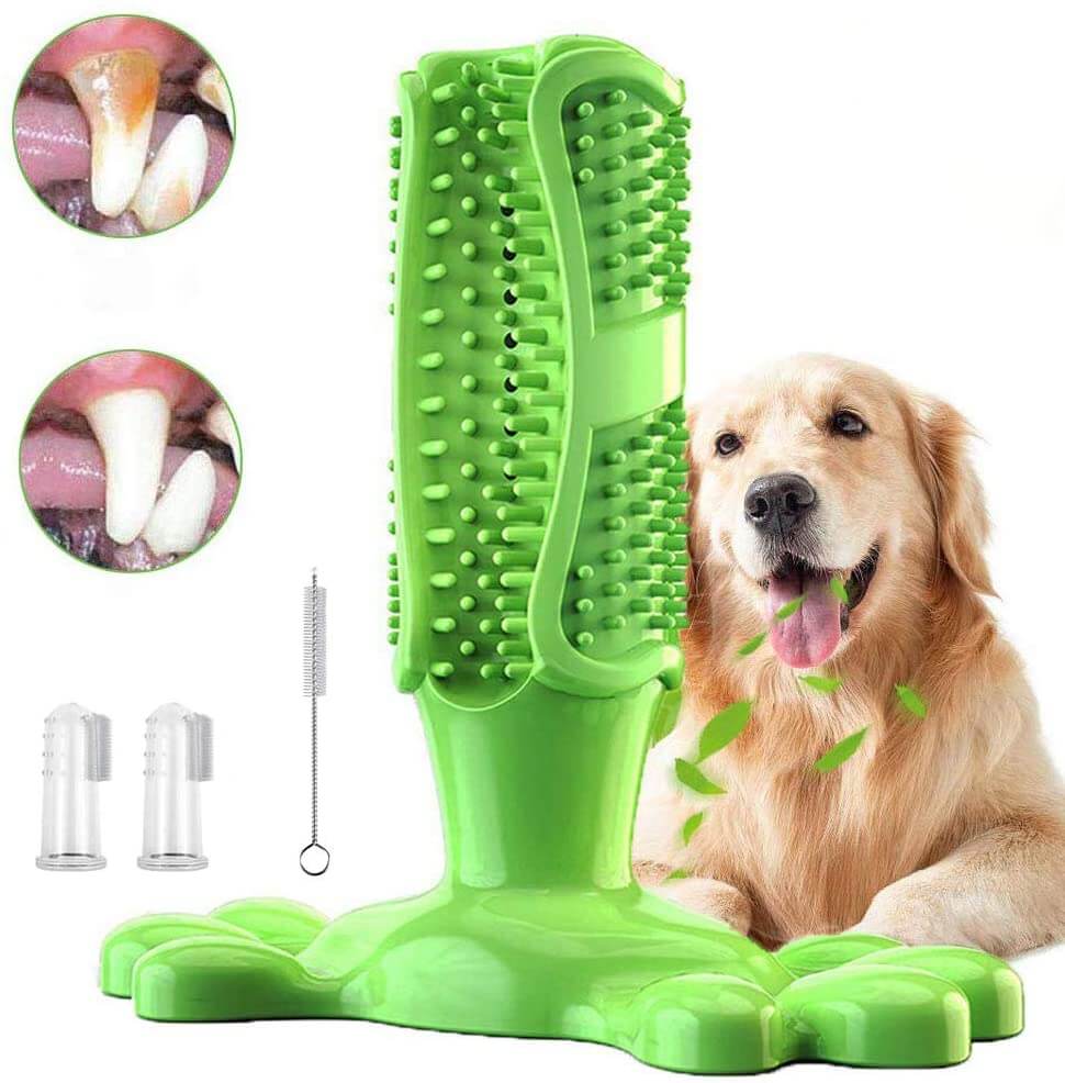 best toothbrush toy for dogs