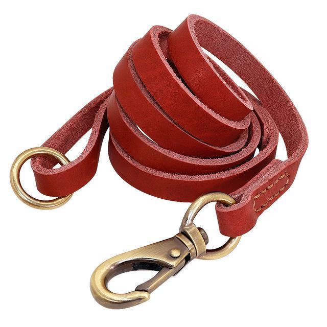 Sirius Genuine Leather Dog Leash