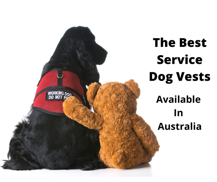 can an esa wear a service dog vest