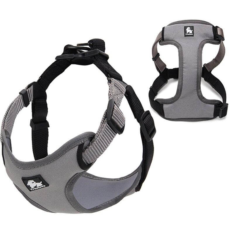 Urban Step-In Dog Harness