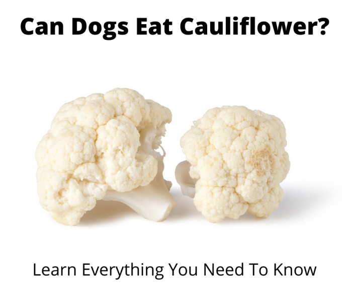 is cooked cauliflower good for dogs