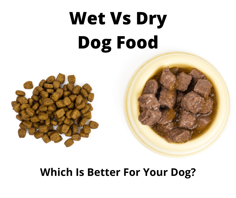 Dry Dog Food Vs Wet Dog Food