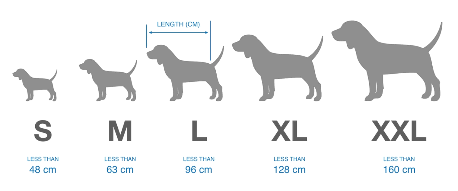 S to XL Dog Size