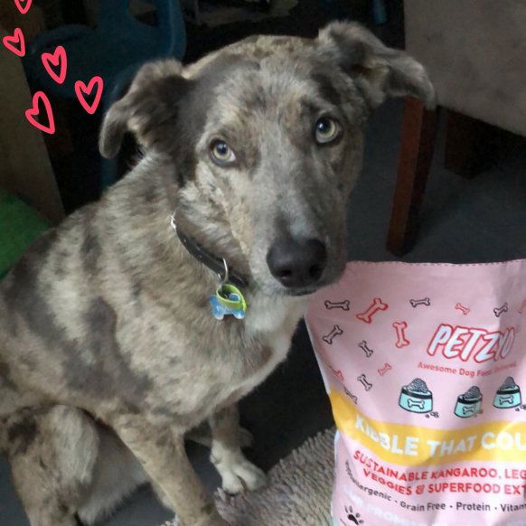 Petzyo Dog Food Review (2021 Edition)