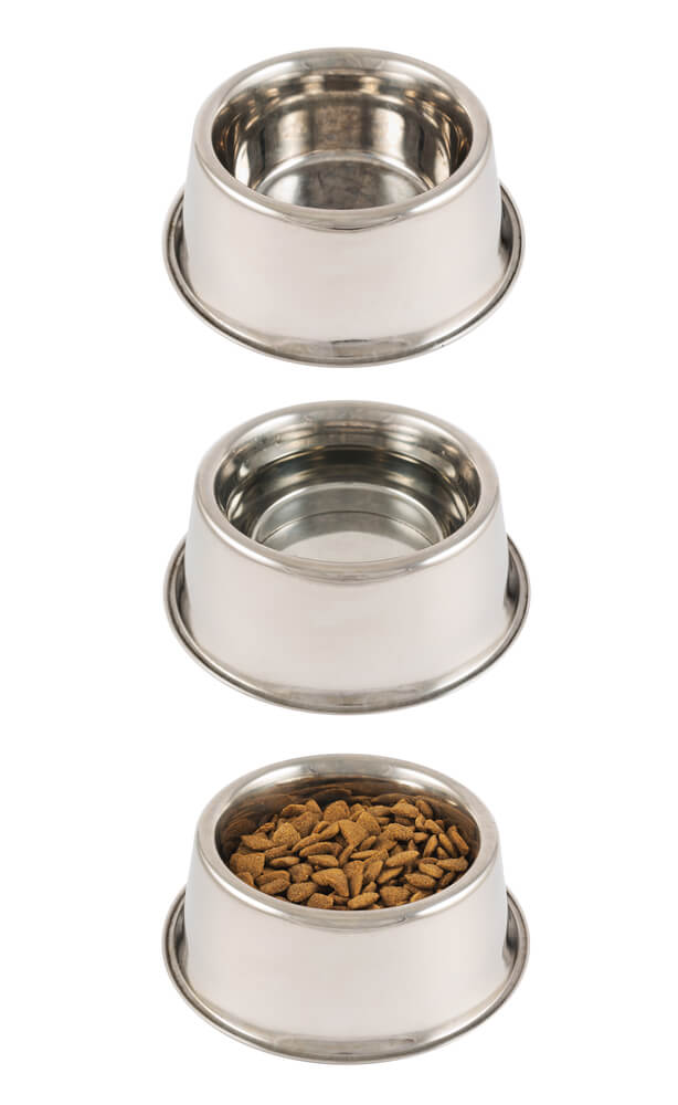 3 dog bowls