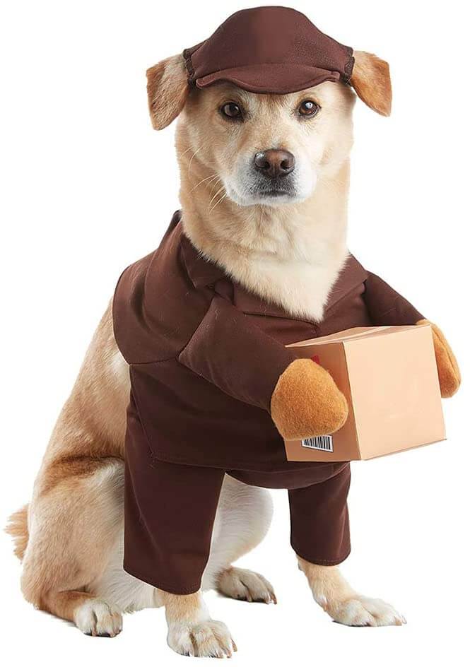 Kasachoy Dog Postman Costume