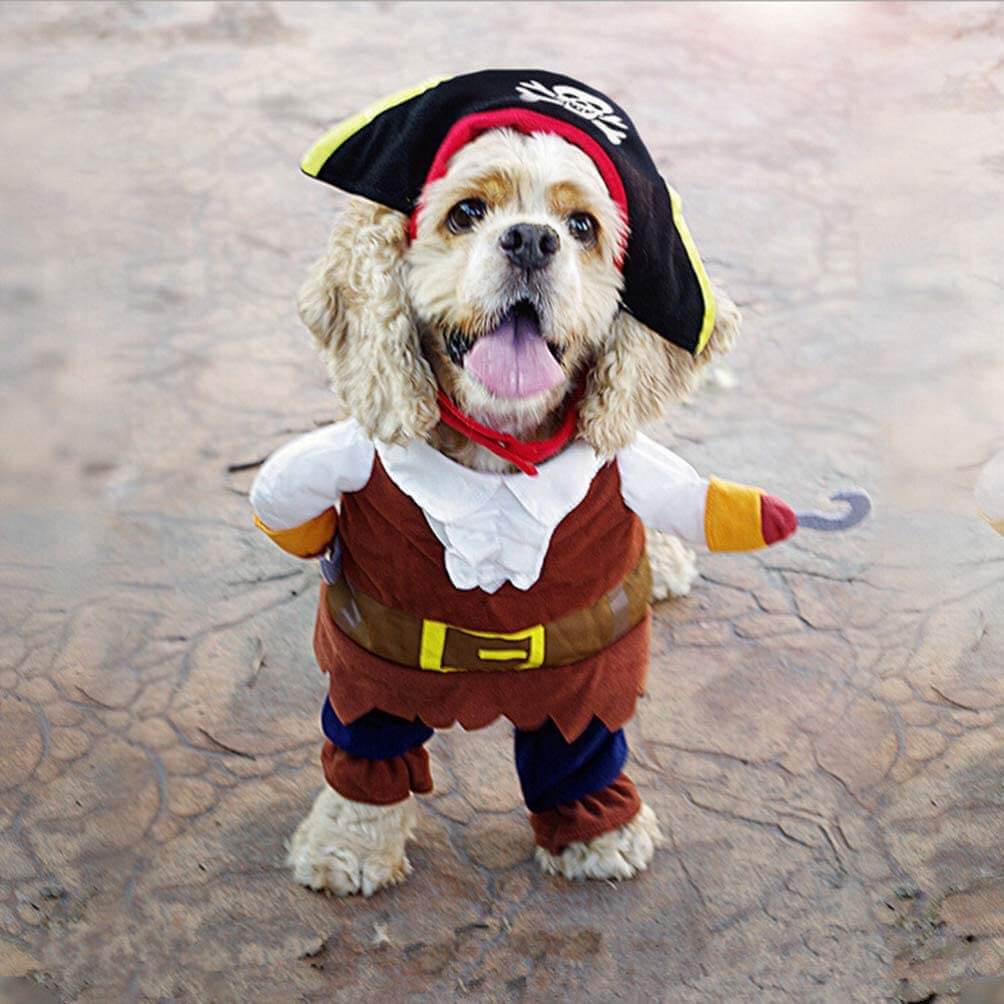POPETPOP Dog Pirate Costume