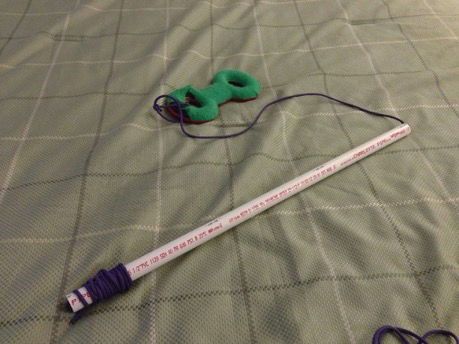 Chase & Fetch Toy