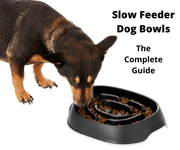 great dane slow feed bowl