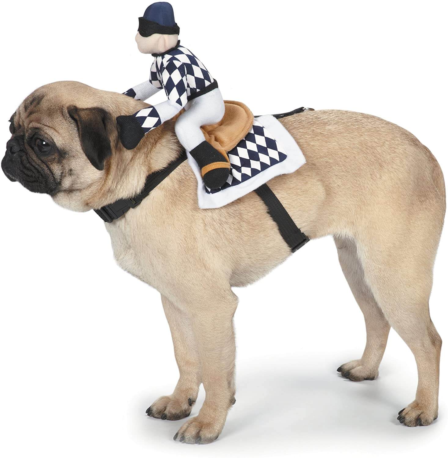Zack & Zoey Show Jockey Saddle Dog Costume