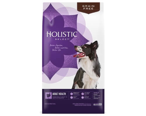 Holistic Select Dry Food Deboned Turkey And Lentils