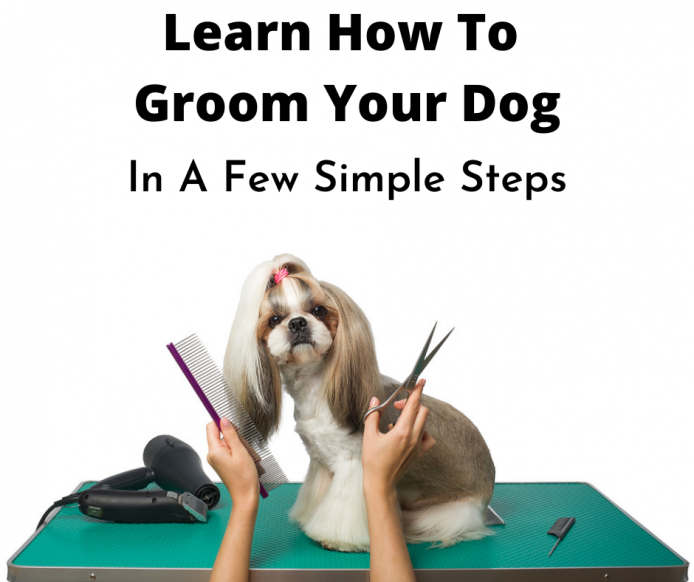Dog getting groomed