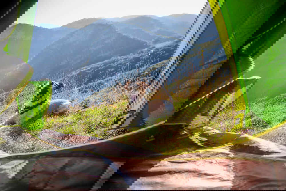 camping with a terrier dog in the mountains