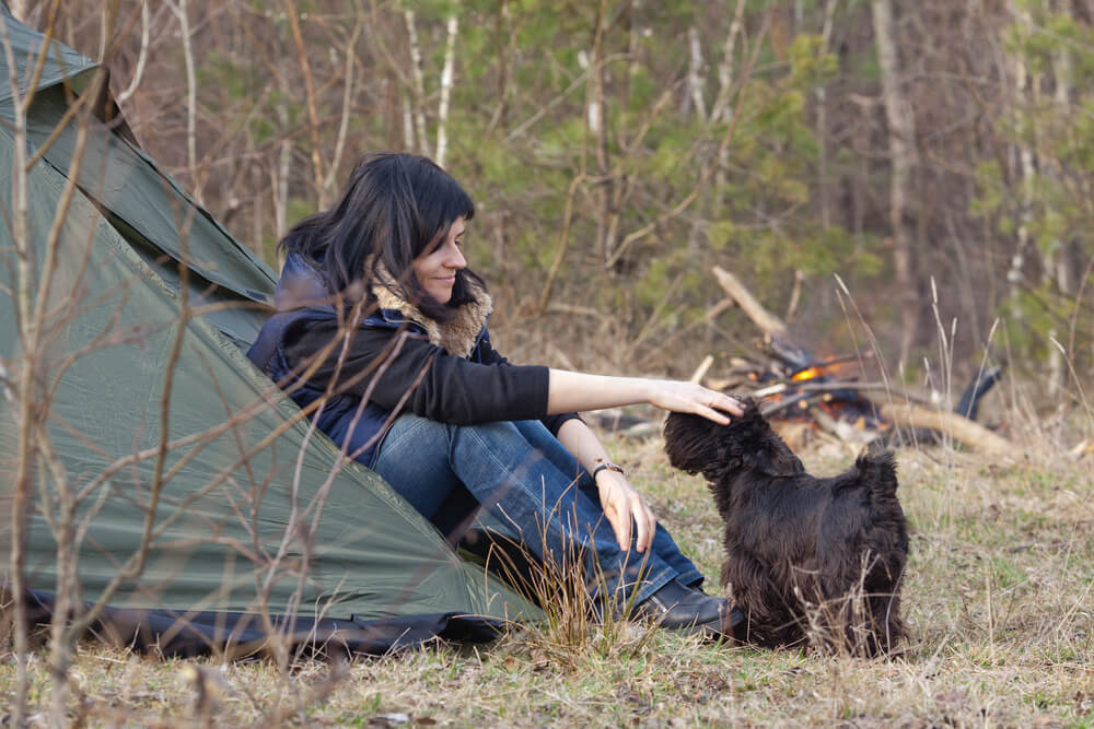 Bush camping with dogs