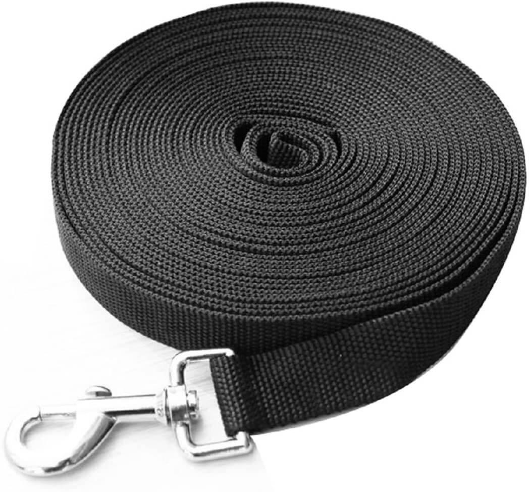 The Best Long Dog Leads Australia (2023 Buyers Guide)