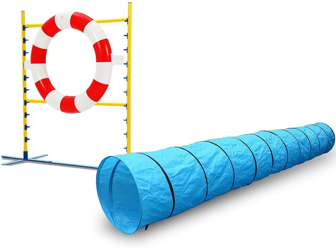 Pet Scene Dog Agility Equipment With Carry Bag