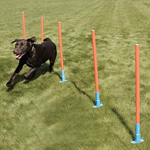 Rosewood Dog Agility Slalom Poles