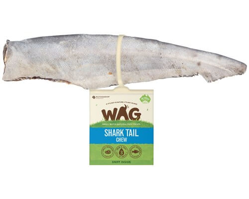 Wag Shark Tail