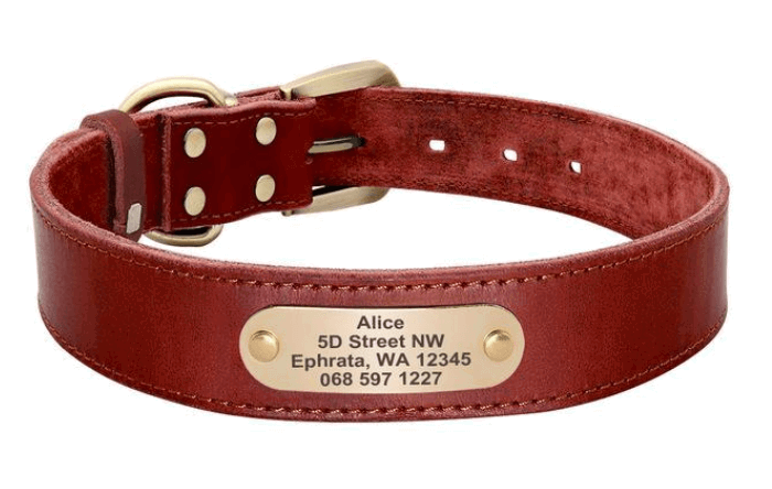 Personalised Leather Collar Gift