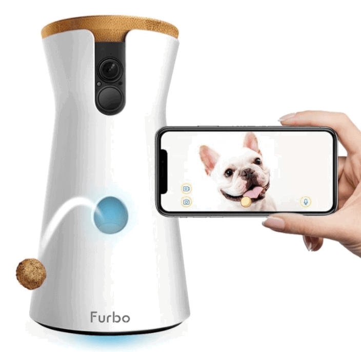 Dog Camera Gift