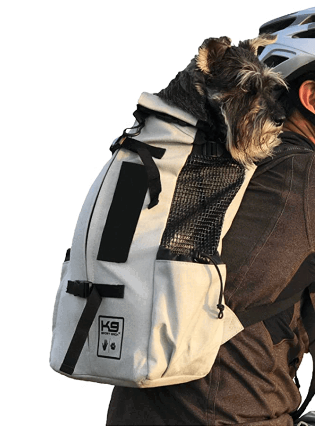 Dog Backpack Gift