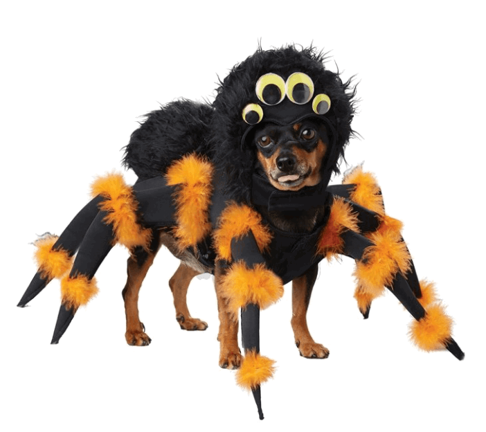 Dog Costume Gift