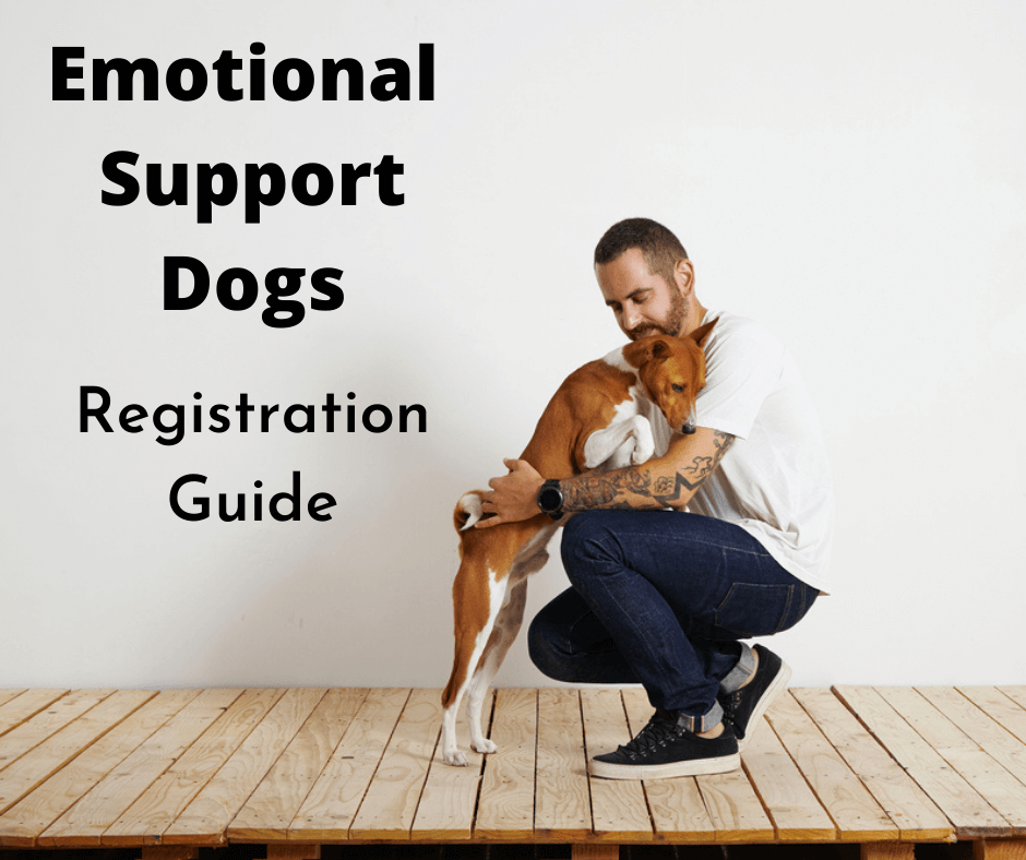 How To Register An Emotional Support Dog In Australia? -  