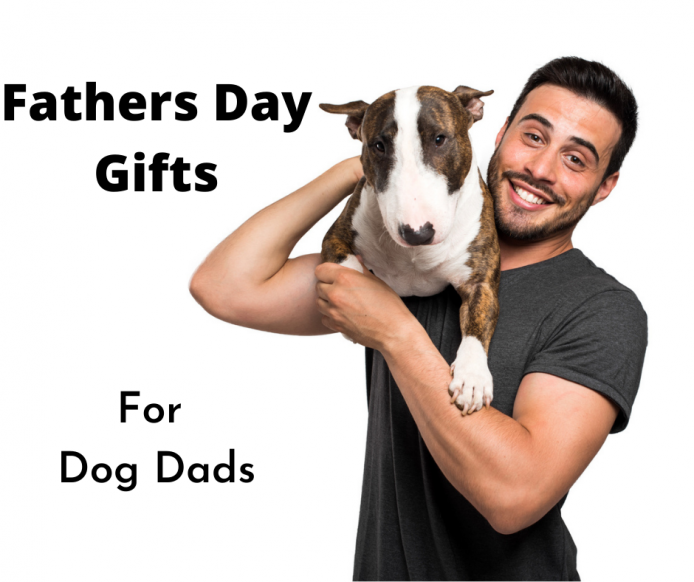 Dog Dad with Bull Terrier