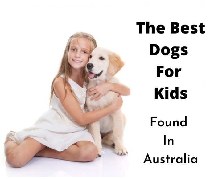 Young girl with Labrador