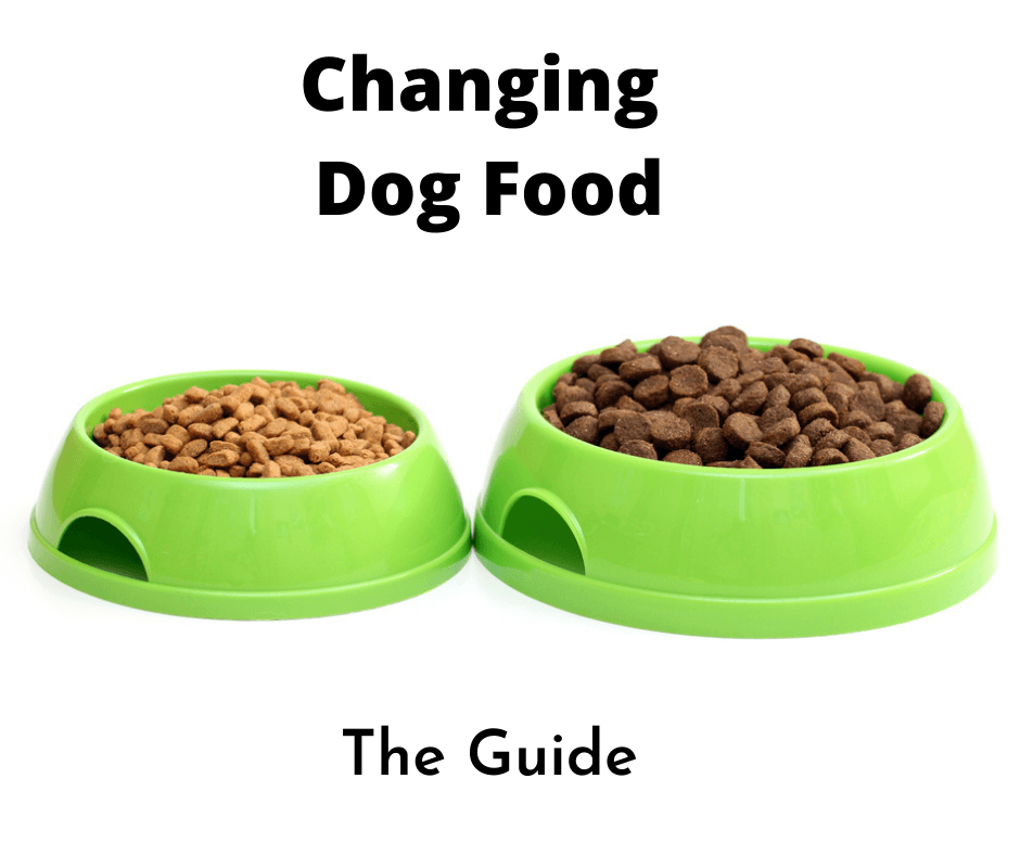 Two different types of dog food