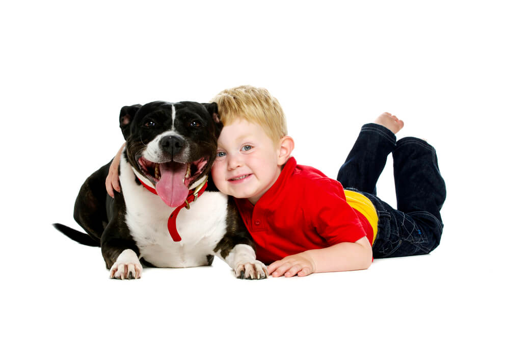 Young boy and a Staffordshire Bull Terrier hugging.