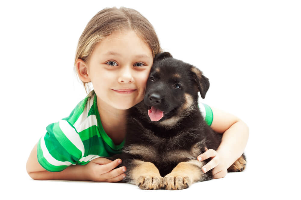little girl hugging a German Shepherd puppy.