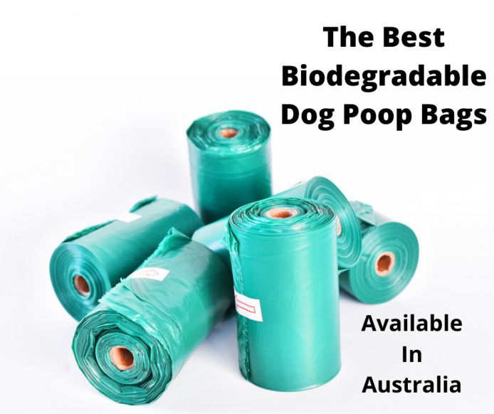 what are the best biodegradable dog poop bags