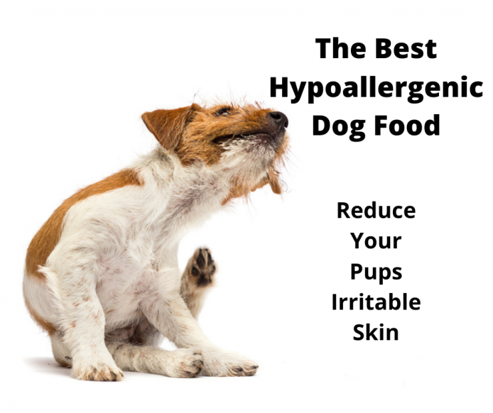 is raw dog food hypoallergenic