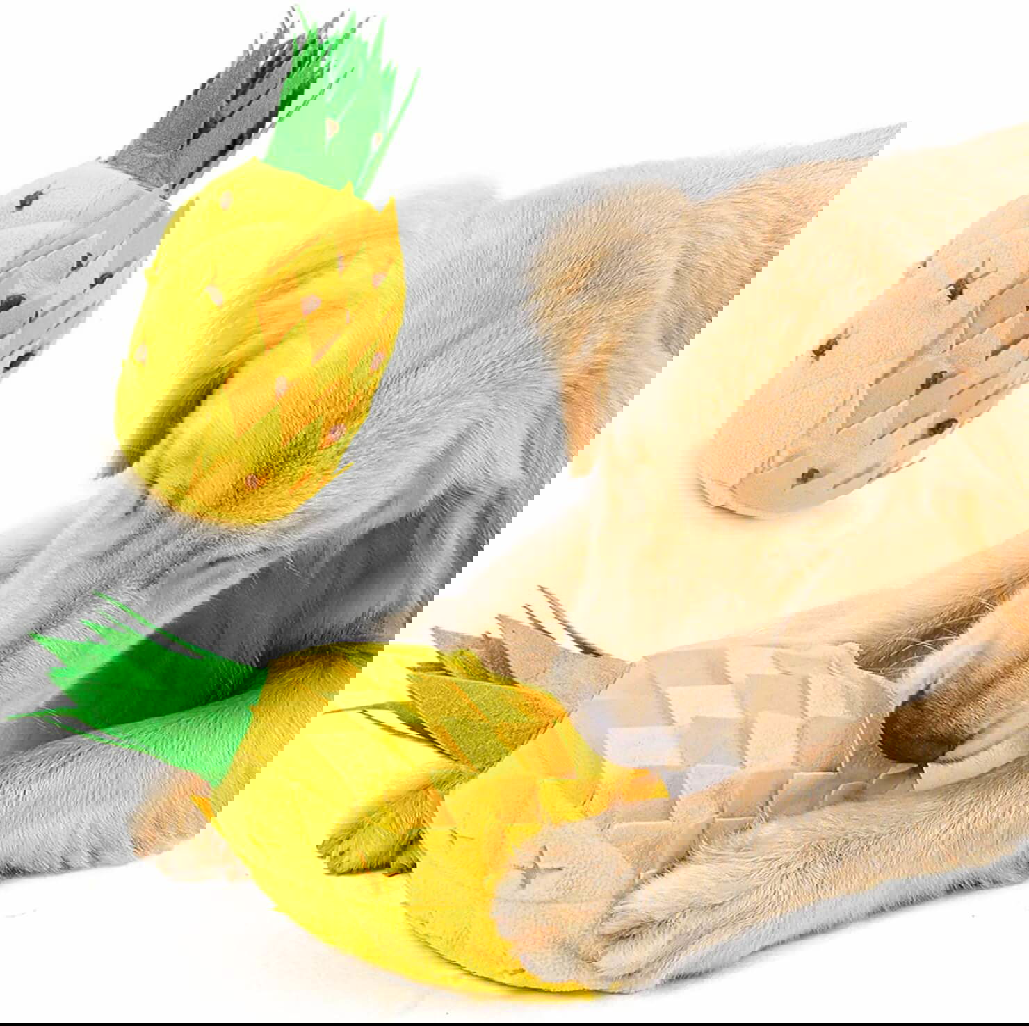 iKiKin Pet Snuffle Pineapple
