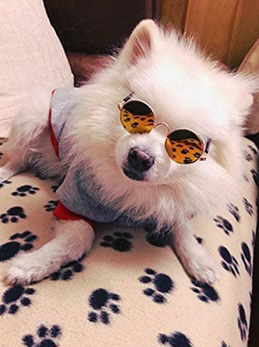 DPlus Stylish Classic Retro Pet Sunglasses