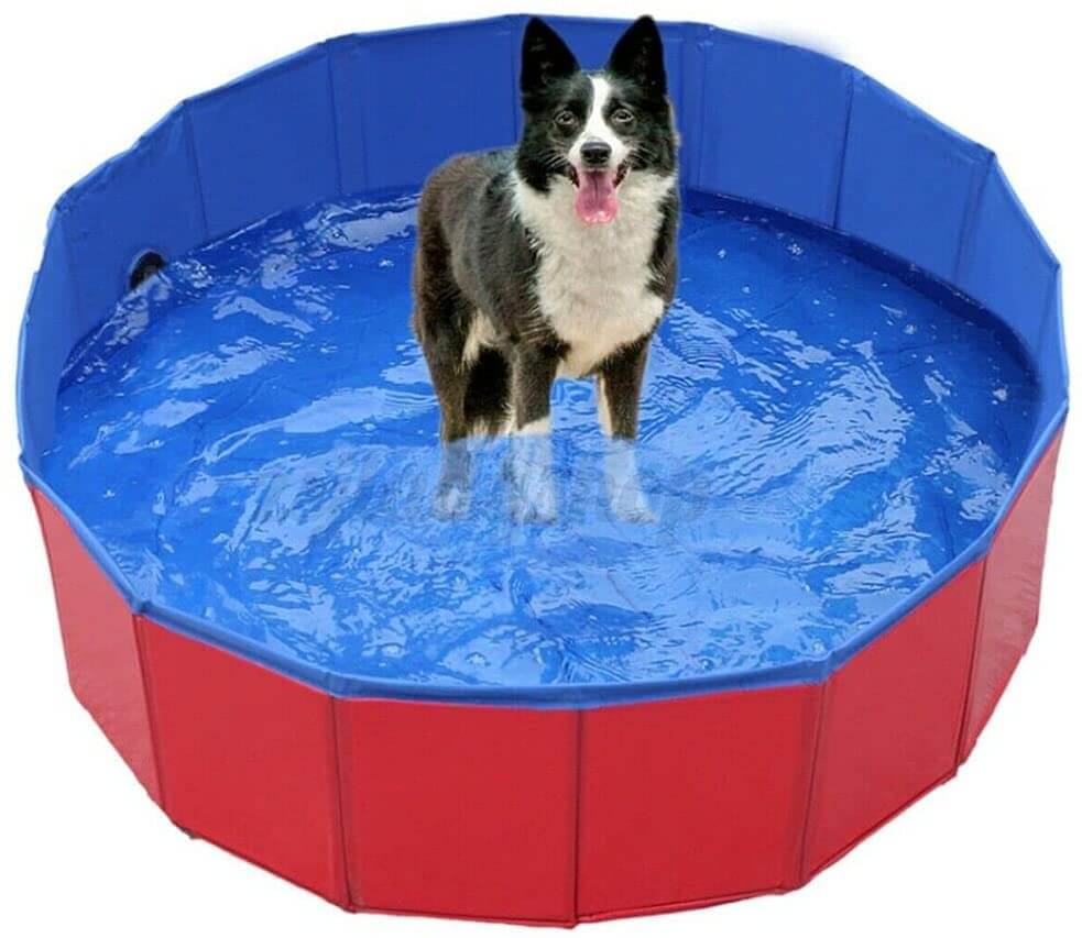 Floofi Pet Foldable Swimming Pool