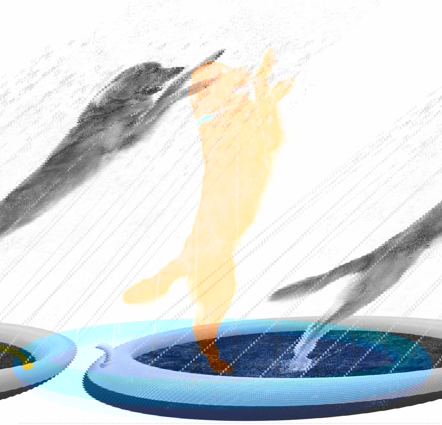 Flyboo Splash Sprinkler Pad for Dogs