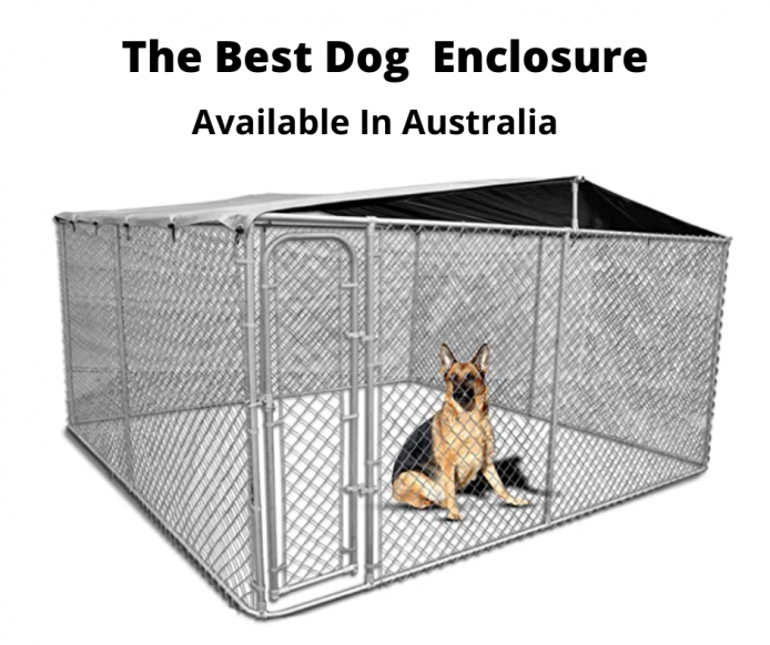 German Shepherd in a dog enclosure