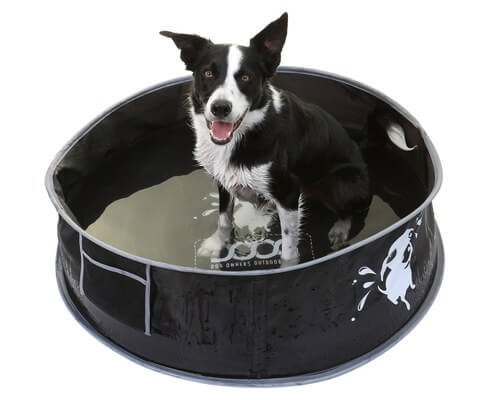 Doog Foldable Pet Pop-Up Pool