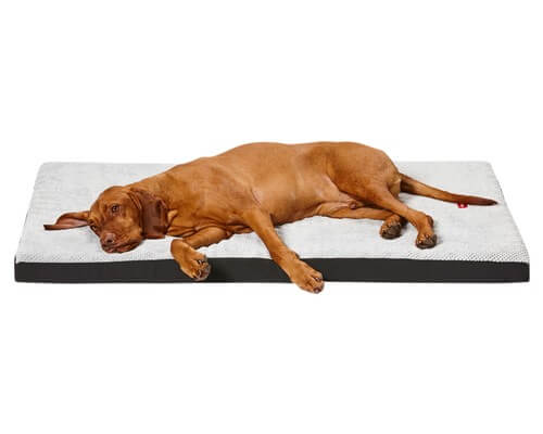Snooza Orthobed Plush Grey Small