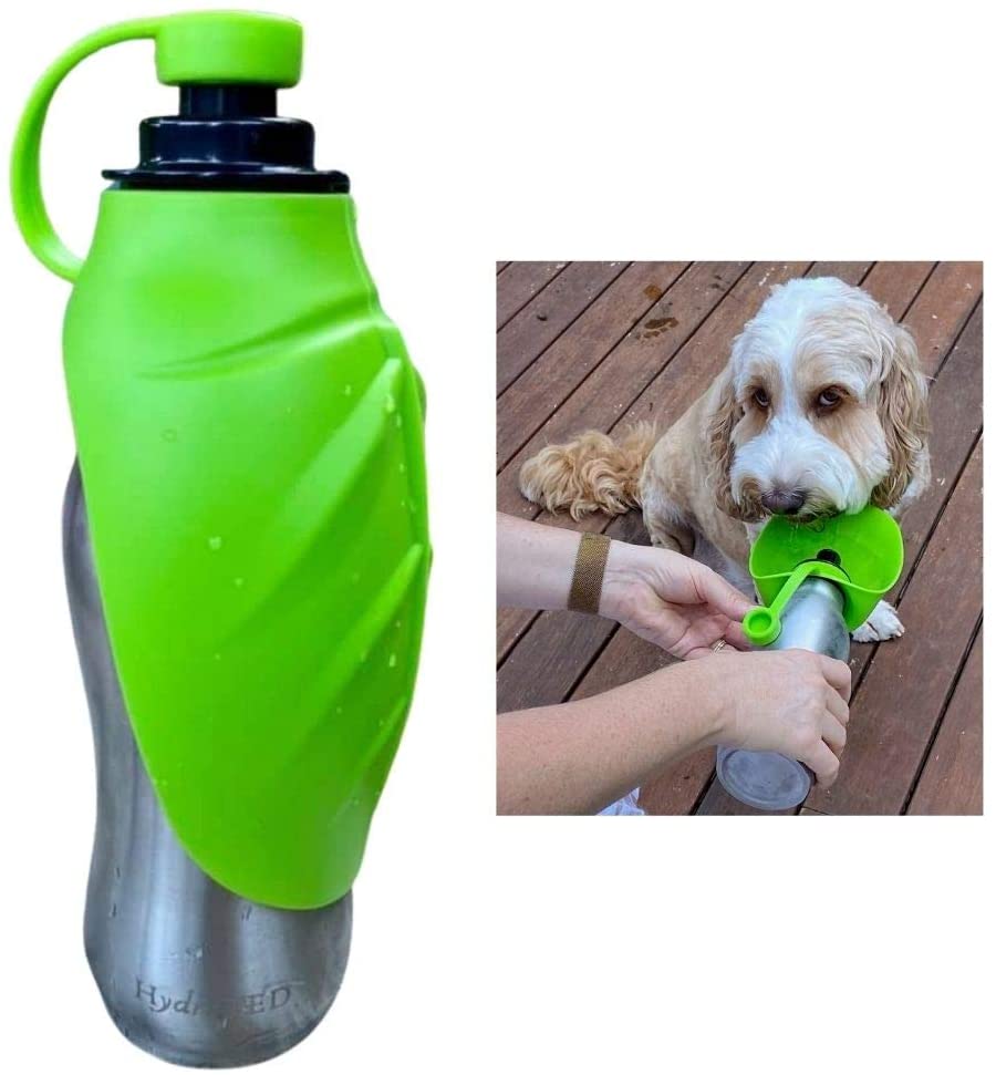SPLIT PEAS HydraTED Stainless Steel Dog Water Bottle