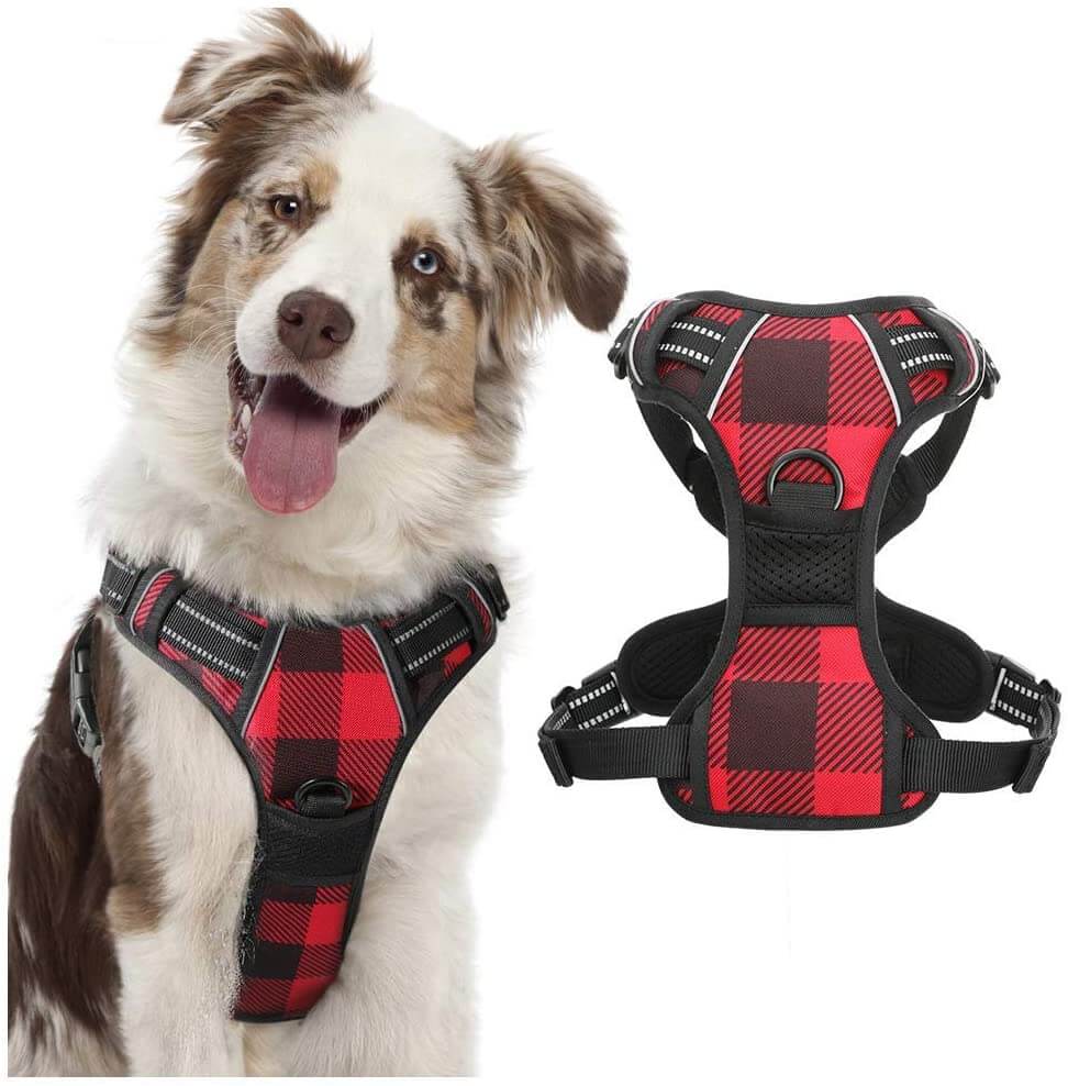 best large breed dog harness