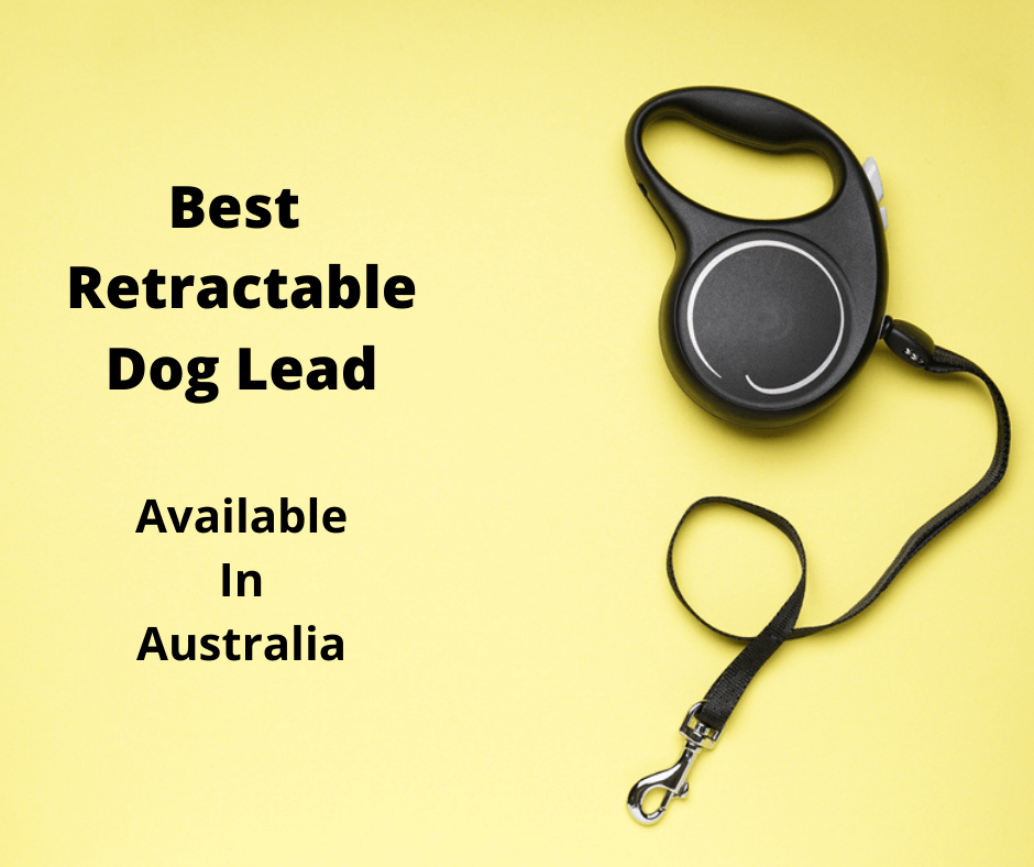 Retractable dog leash