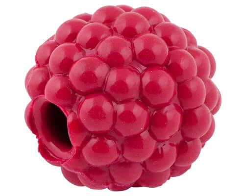 Planet Dog Orbee Tuff Raspberry