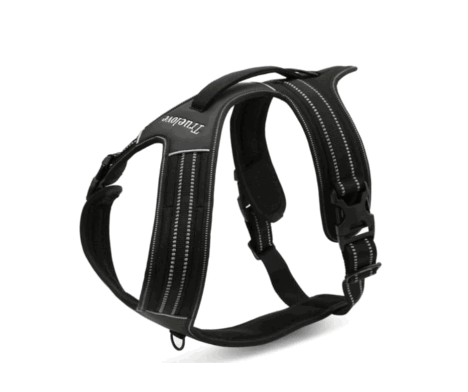 The Best No Pull Dog Harness Australia (2023 Buyers Guide)
