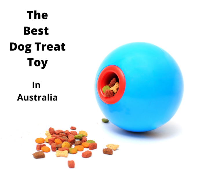 best food dispensing toys for dogs